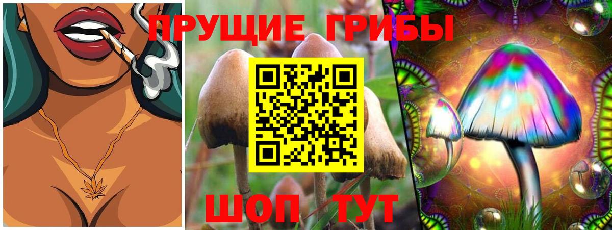 Галлюциногенные грибы ЛСД  Вход с VPN  Апрелевка 